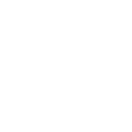 Globe Icon